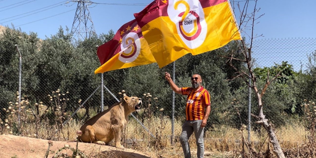 Diyarbakırlı taraftar, Galatasaray’ın 24. şampiyonluğunu aslanlarıyla kutladı