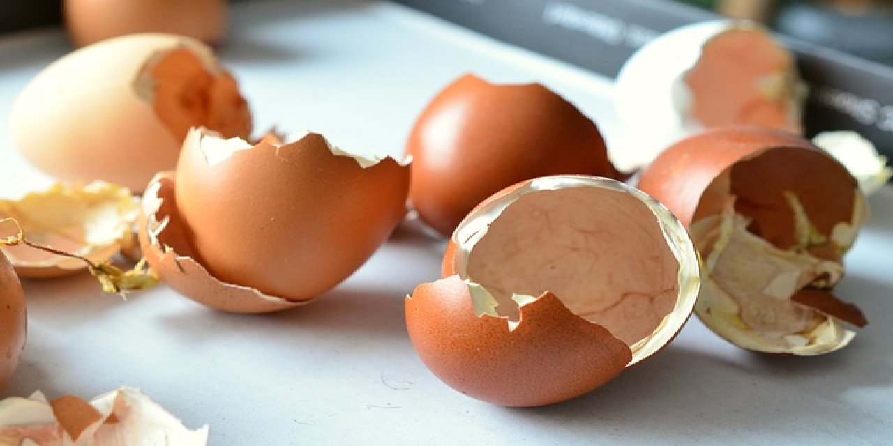 Atıkları değerlendirmenin en kolay yolu. Yumurta kabukları nasıl değerlendirilir?