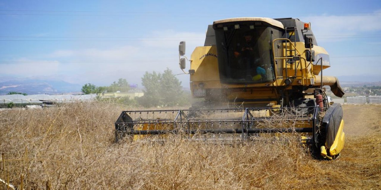 Tarsus'ta Yerli Tohum Buğday Hasadı Gerçekleştirildi: İhtiyaç Sahiplerine Destek