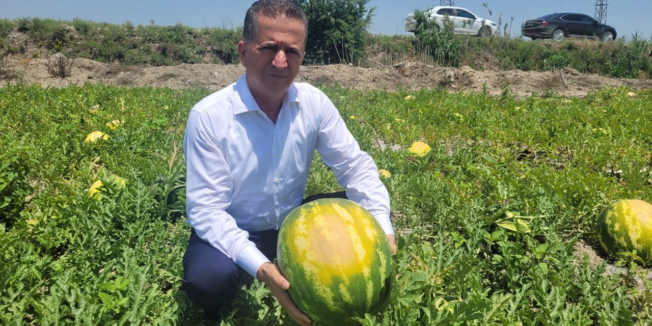 Aşırı sıcak kavun, karpuz,  biber ve domatesleri yaktı