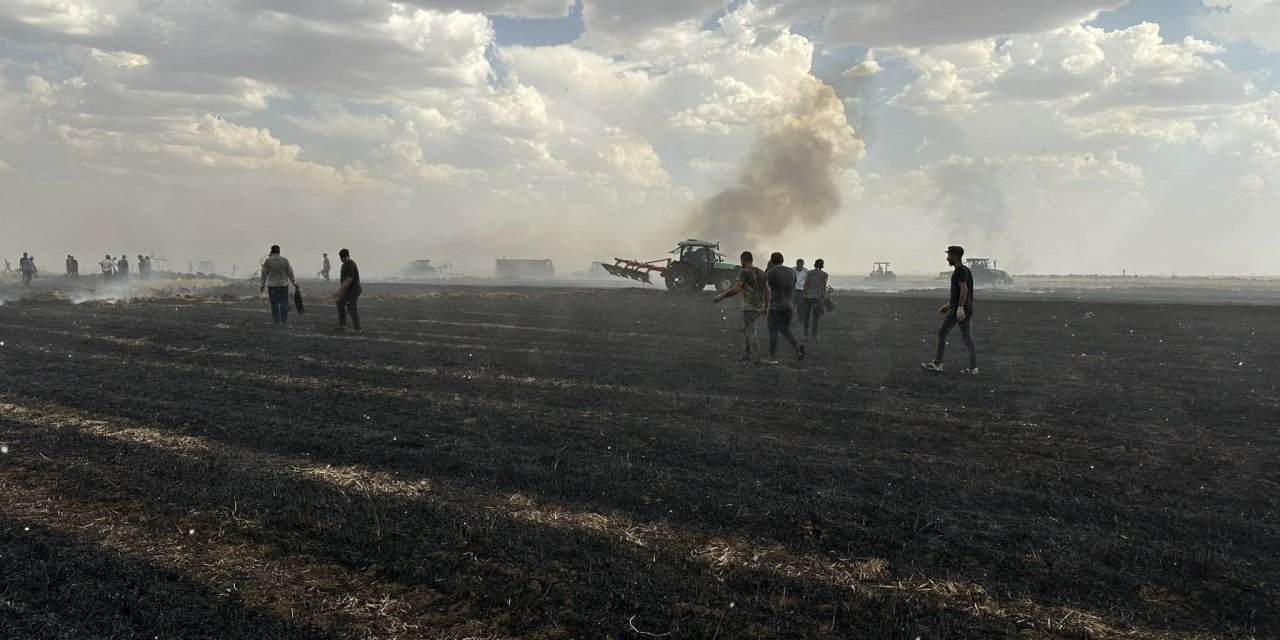 Cizre’de 5 ayrı yere yıldırım düştü, 360 dönüm Buğday küle döndü