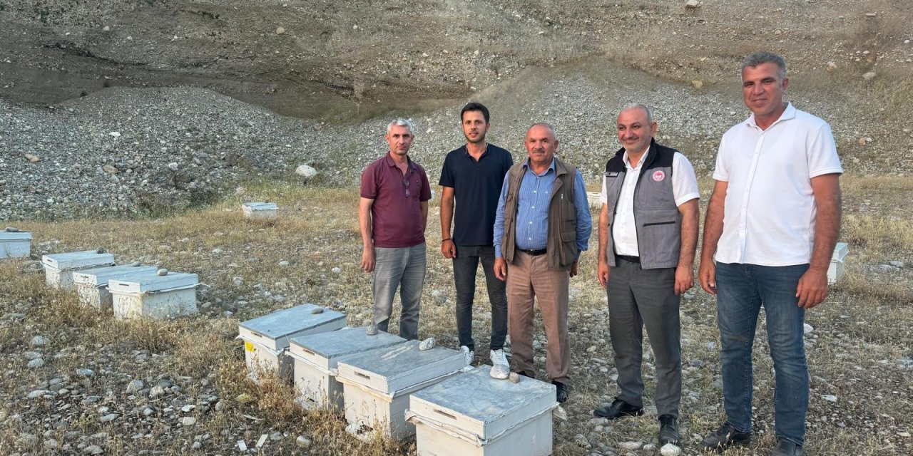 Siirt'te  100 aileye 2 bin adet arılı kovan dağıtıldı