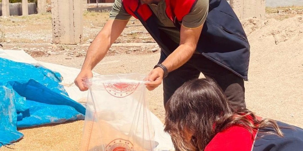 Şırnak'ta Süne Mücadelesi: Kumçatı ve İkizce'de Emgi Tahlilleri Yapıldı