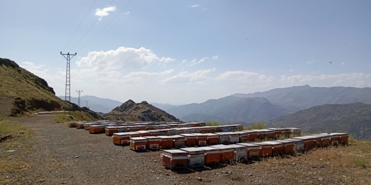 Siirt’te Arıcılar İçin Yayla Yolu Açıldı: Valilikten Önemli Destek