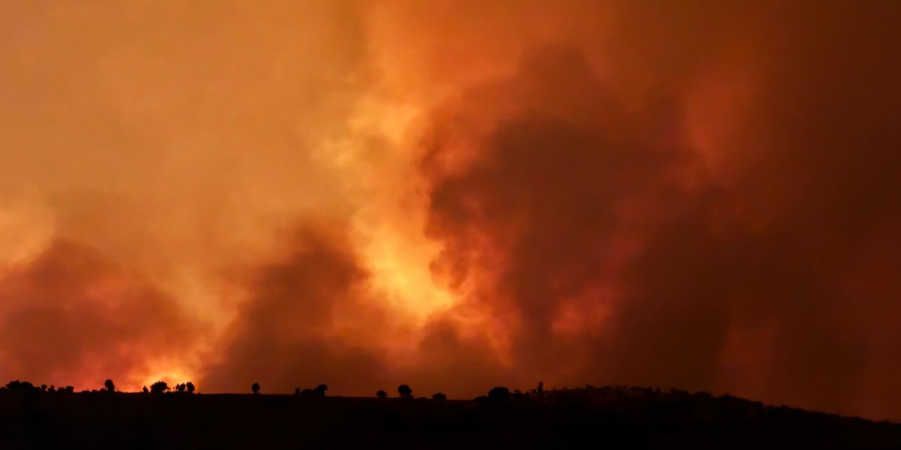 Diyarbakır’da Yangın Hızla Yayıldı: Çok Sayıda Ekip Sevk Edildi
