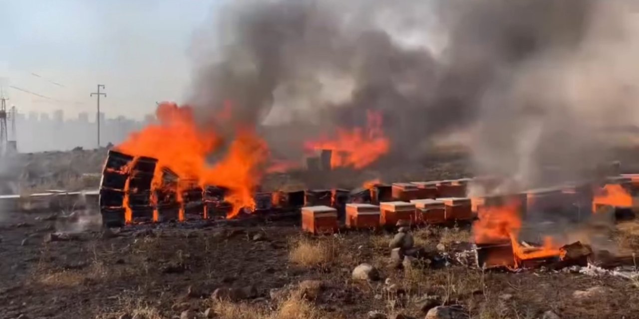 Diyarbakır ve Mardin'den sonra şimdi Siverek'te yangın çıktı: Yüzlerce arı kovanı kül oldu