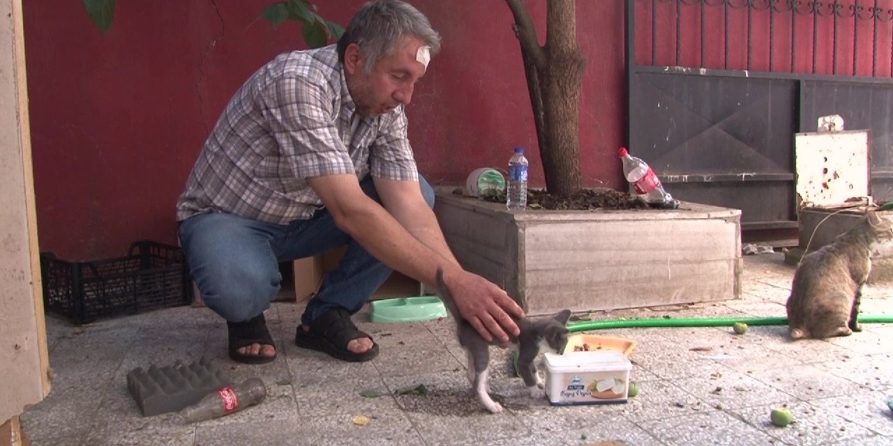 Sokak hayvanlarını beslediği için darp edildi