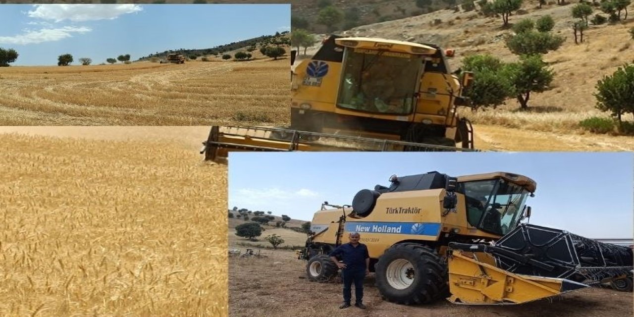 Şırnak İkizce Köyü'nde Buğday Hasadı Başladı, Çiftçiler Verimden Memnun Değil