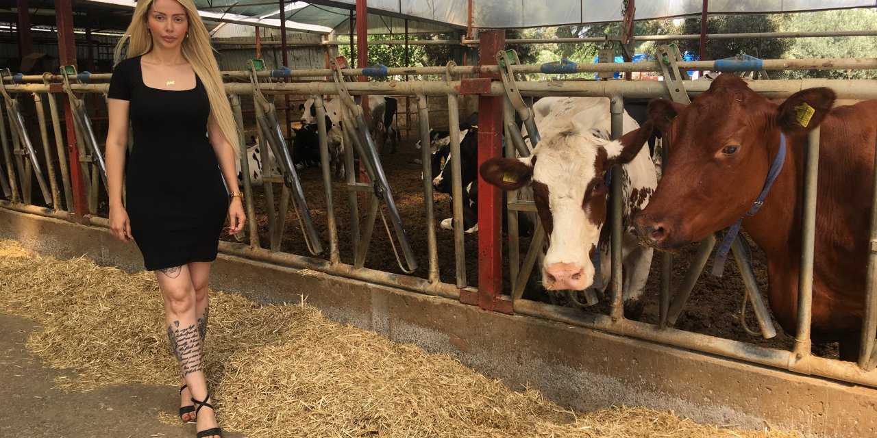 Gazeteciliği bıraktı 'hastalıktan ari' çiftlik kurdu