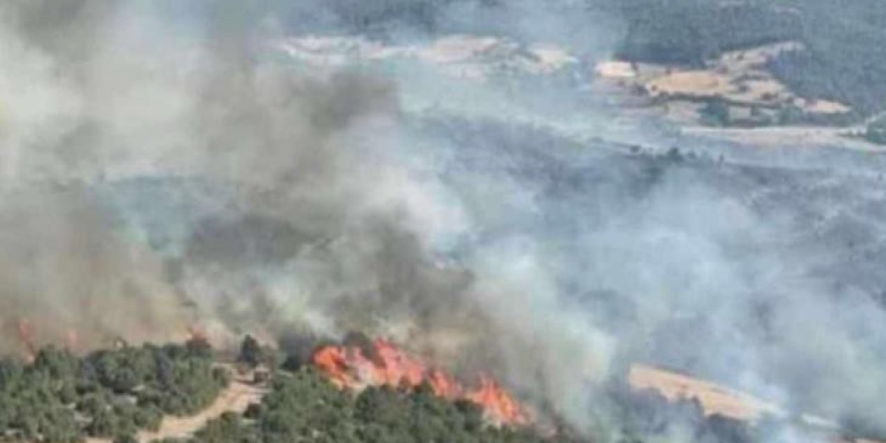 Şırnak Şenoba Beldesinde orman yangını