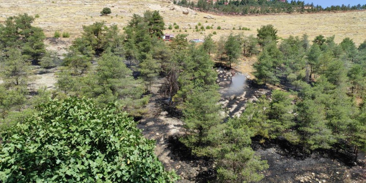 Şanlıurfa'da ormanlık alan yangını kontrol altına alındı