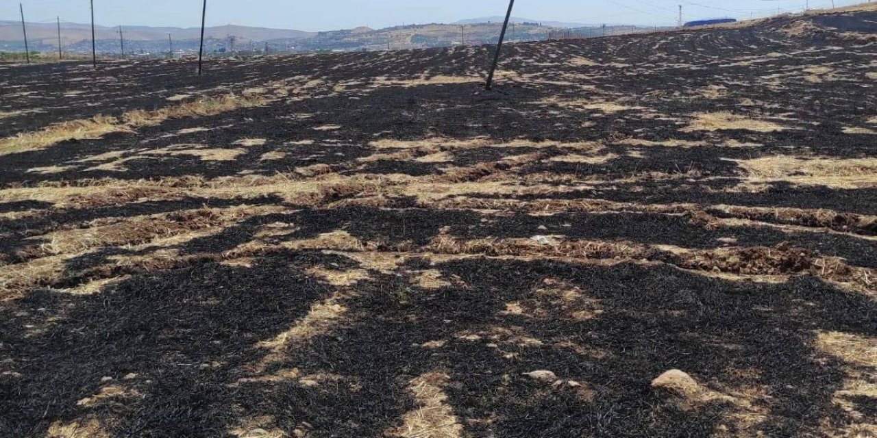 Siirt’te anız yakma yasağını ihlal eden şahsa ağır ceza