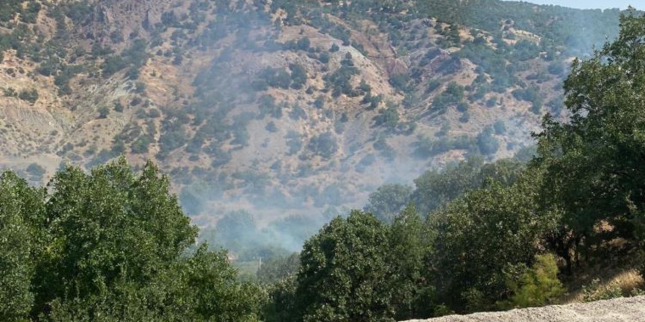 Siirt'te Çıkan Orman Yangını Kontrol Altına Alındı