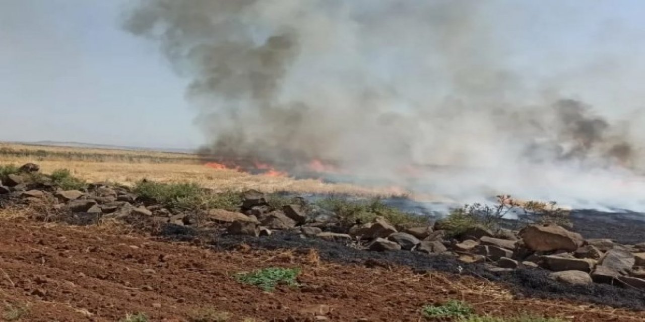 İdil’de anız yangını 7 saatlik çalışma ile söndürüldü; 100 dönümlük alan küle döndü