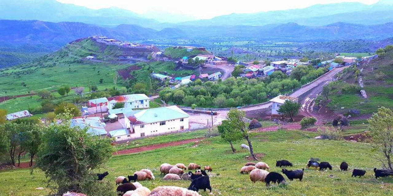 Şırnak’ın Güneyçam Köyünde Elektrik Kesintileri Vatandaşı Mağdur Etti