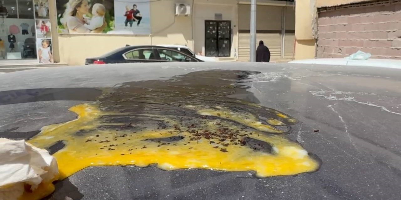 Şanlıurfa'da halk aşırı sıcaklara dikkat çekmek için otomobil üzerinde yumurta pişirdi