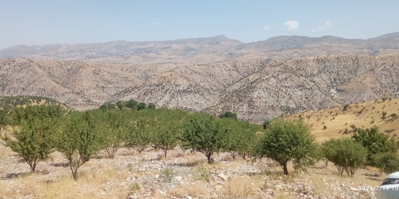 Şırnak’ta Çiftçinin Güvenlik Sebepleriyle Yaşadığı Mağduriyet