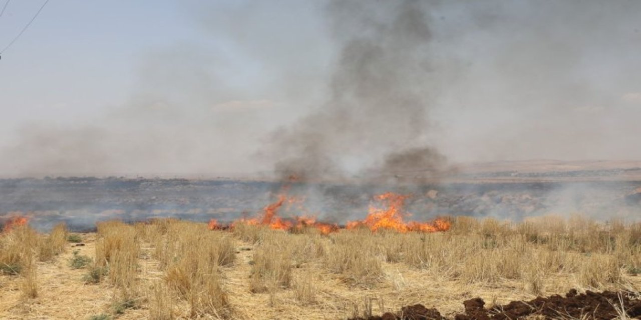Şırnak’ın Cizre İlçesinde Anız Yangını: 6 Saatte Kontrol Altına Alındı