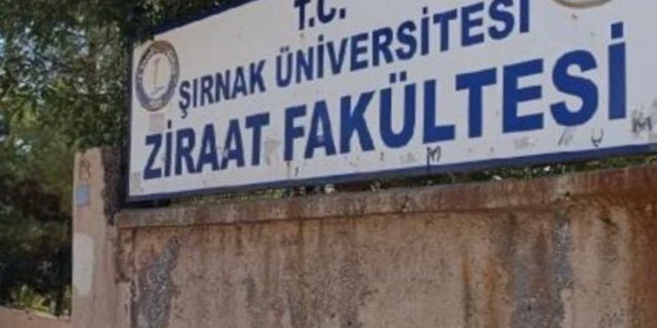 Şırnak Üniversitesi Kararını Değiştirdi: Eğitim İdil’de Devam Edecek