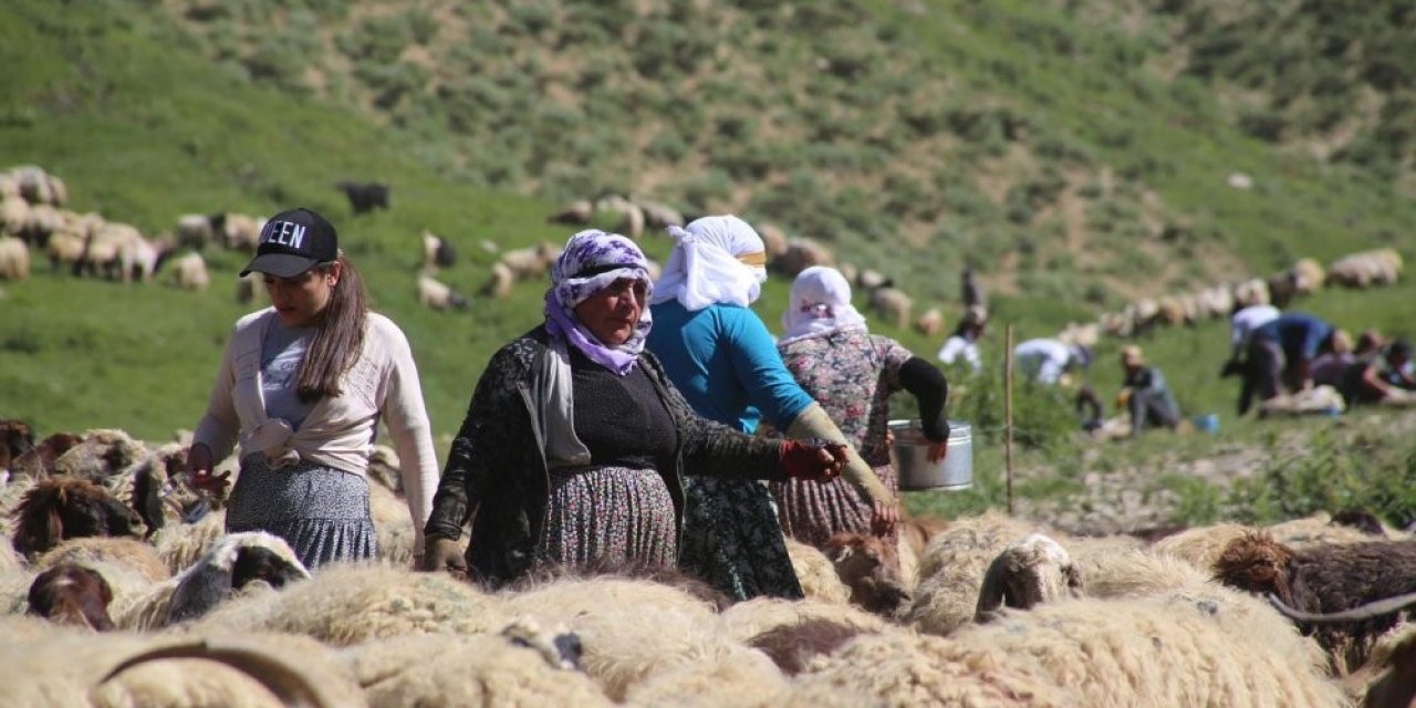 Hakkari'de  berivanlara akaryakıt desteği