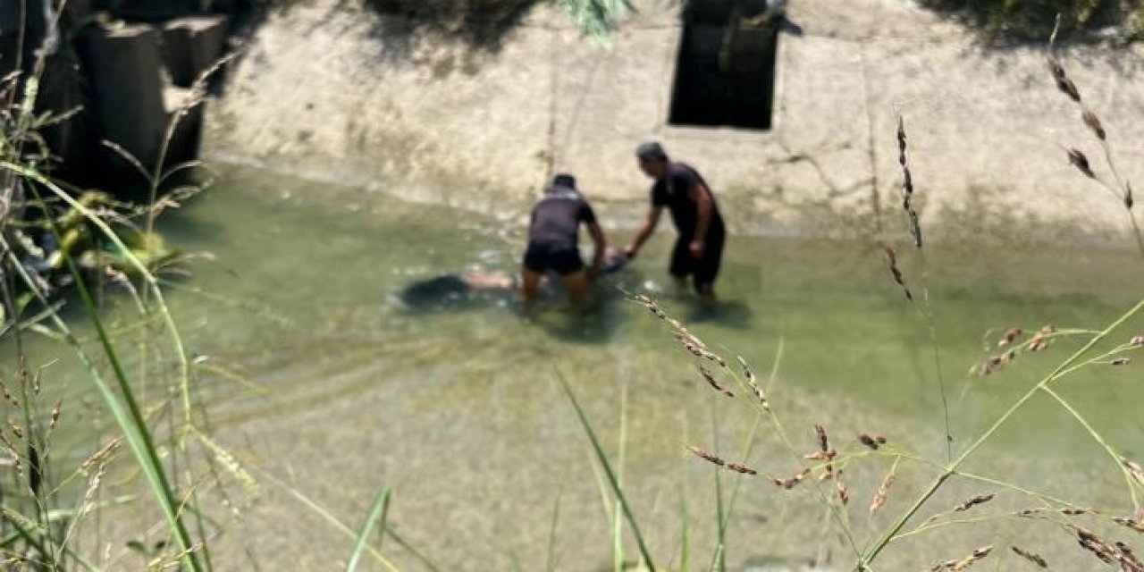 Adana'da Sulama Kanalında Erkek Cesedi Bulundu