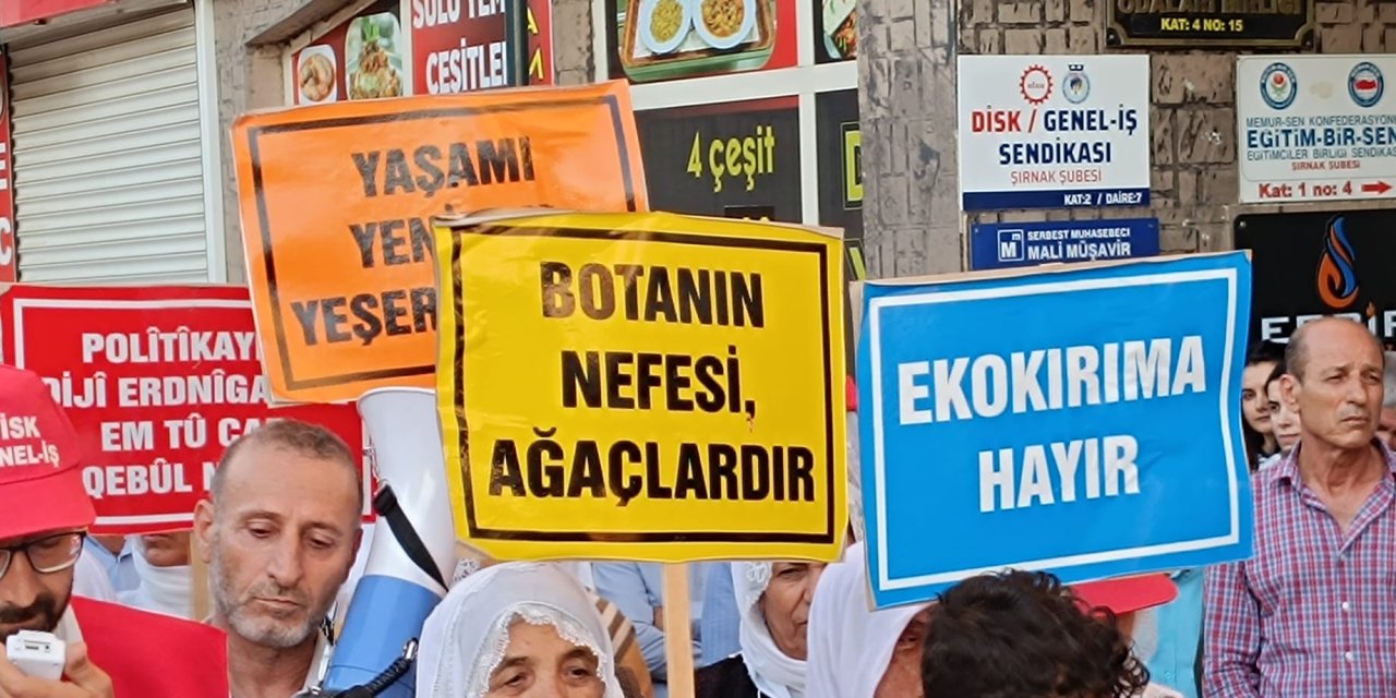 Şırnak’ta Ağaç Kesimlerine Karşı Basın Açıklaması: "Doğamızı Korumaya Kararlıyız"