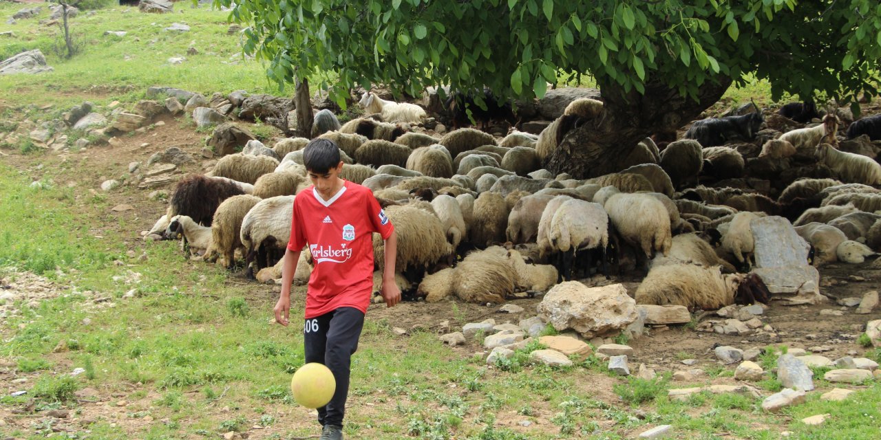 Şırnaklı Ender'in, futbol hayali  gerçek oldu çobanlıktan sahalara