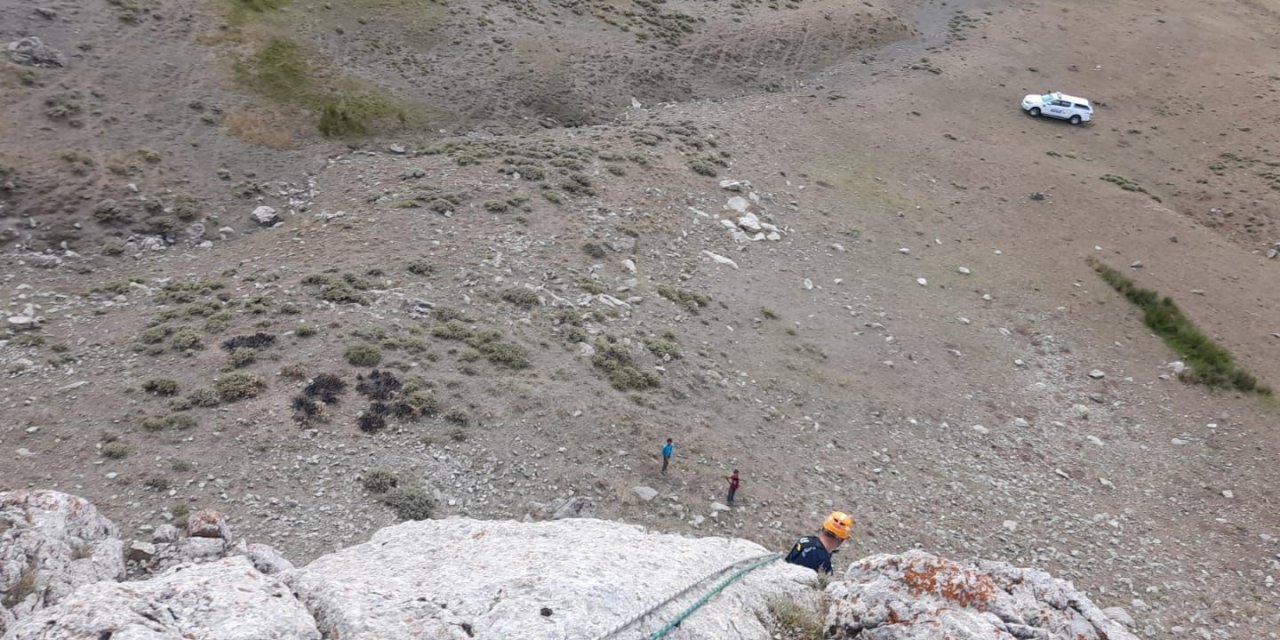 Ağrı'da kayalıklarda keçiler mahsur kaldı