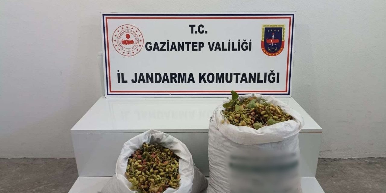 515 kilo Antep fıstığı çalan şüpheliler suçüstü yakalandı