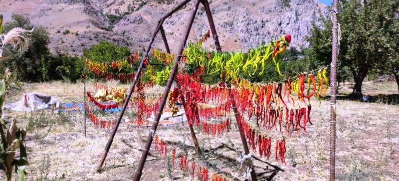 ŞIRNAK VE HAKKARİ KÖYLERİNDE KIŞA HAZIRLIK BAŞLADI