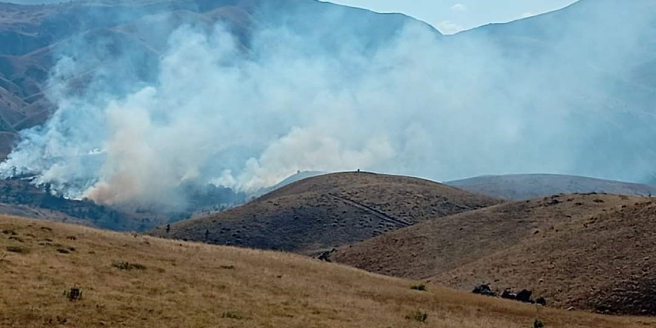 Tunceli’de ormanlık alanda yangın