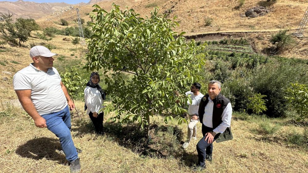 Hem Öğretmen Hem Çiftçi: İlhan Turfand’ın İlham Verici Hikayesi