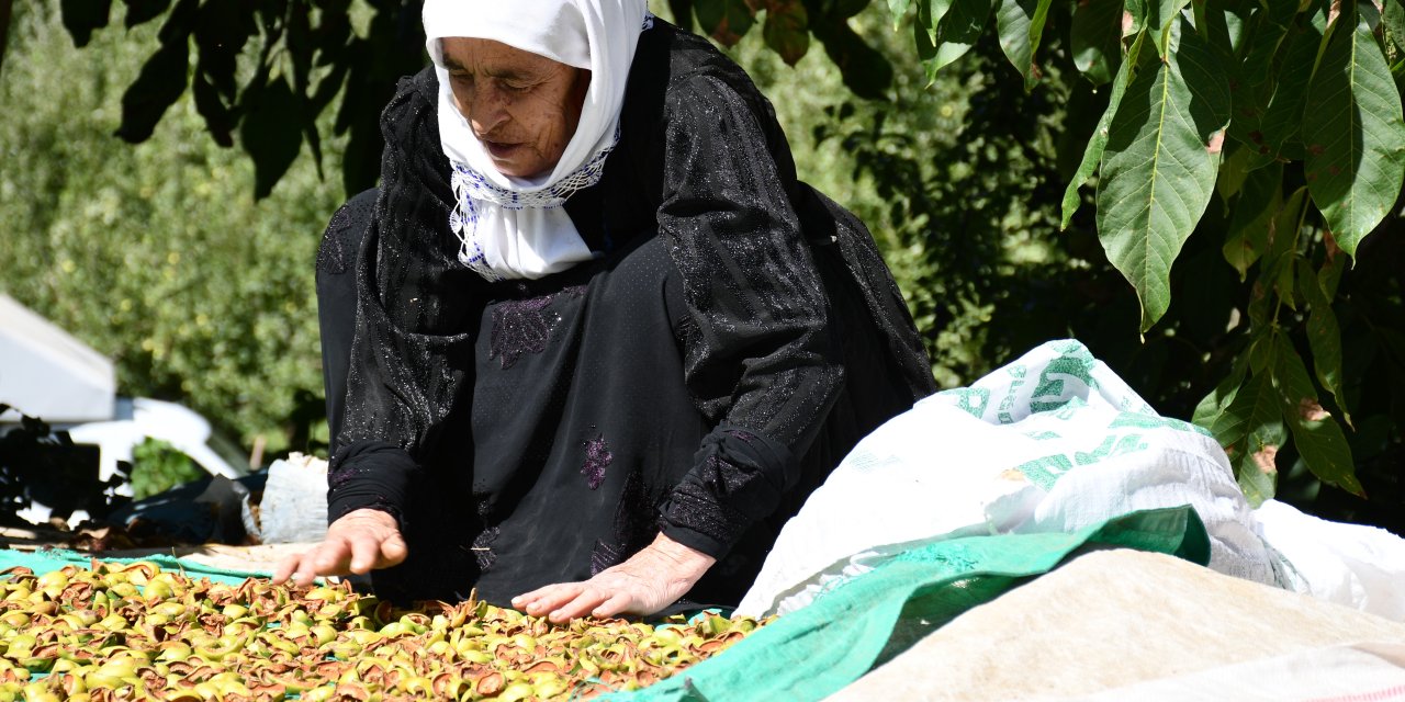 Beytüşşebap'ta ev damları Kışlıklarla doldu, renk cümbüşü oldu