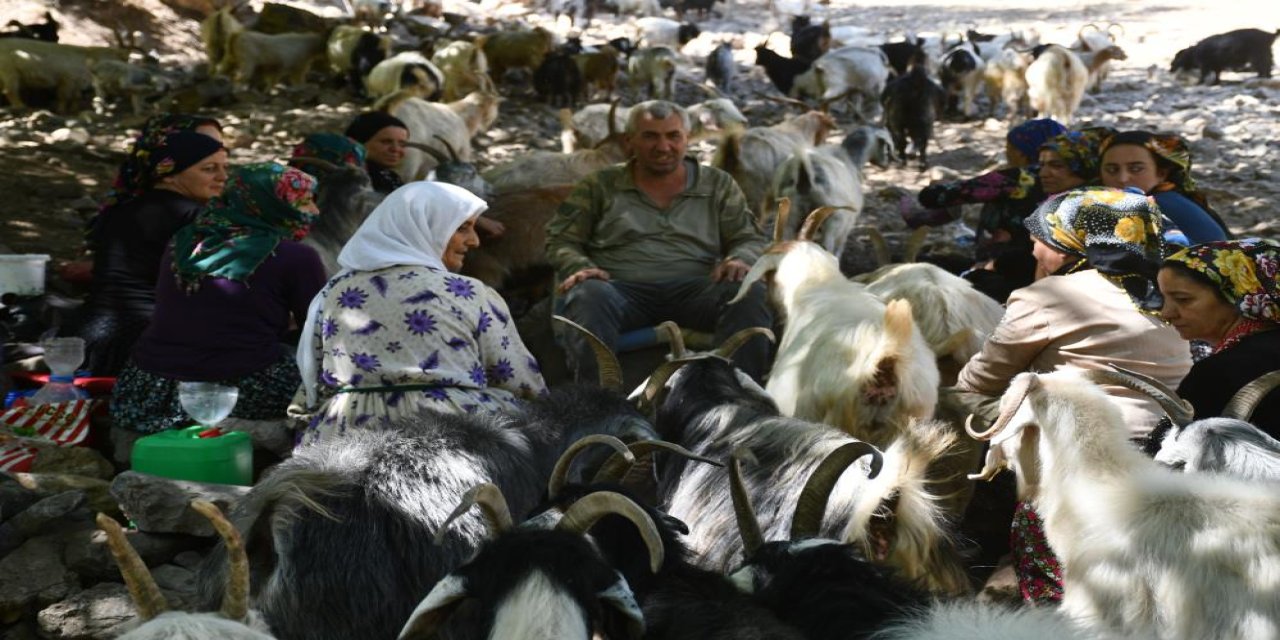 Şırnak’ta Berivanların Zorlu Mesaisi Sona Eriyor