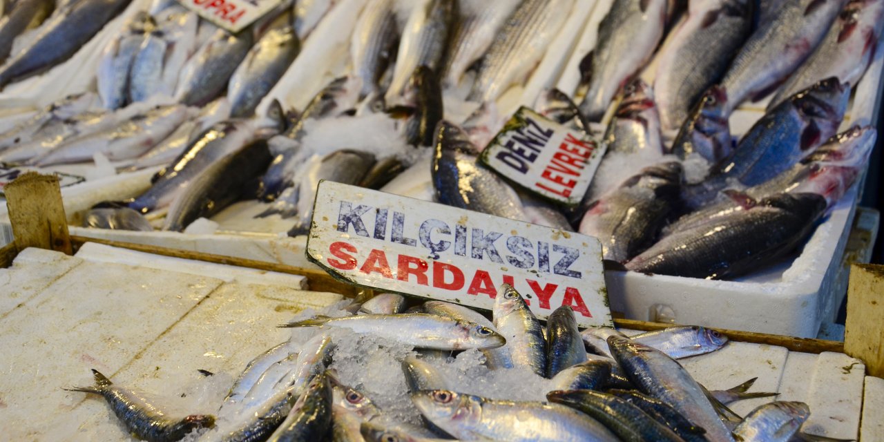 Balık fiyatlarında düşüş başladı