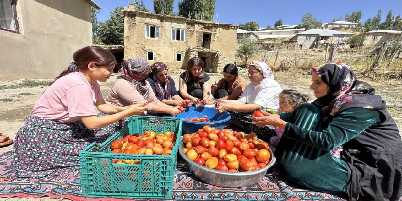 Yüksekovalı Kadınlar Kış Hazırlıklarına Başladı: Kazanlar Kuruldu, Salça ve Menemen Yapıldı