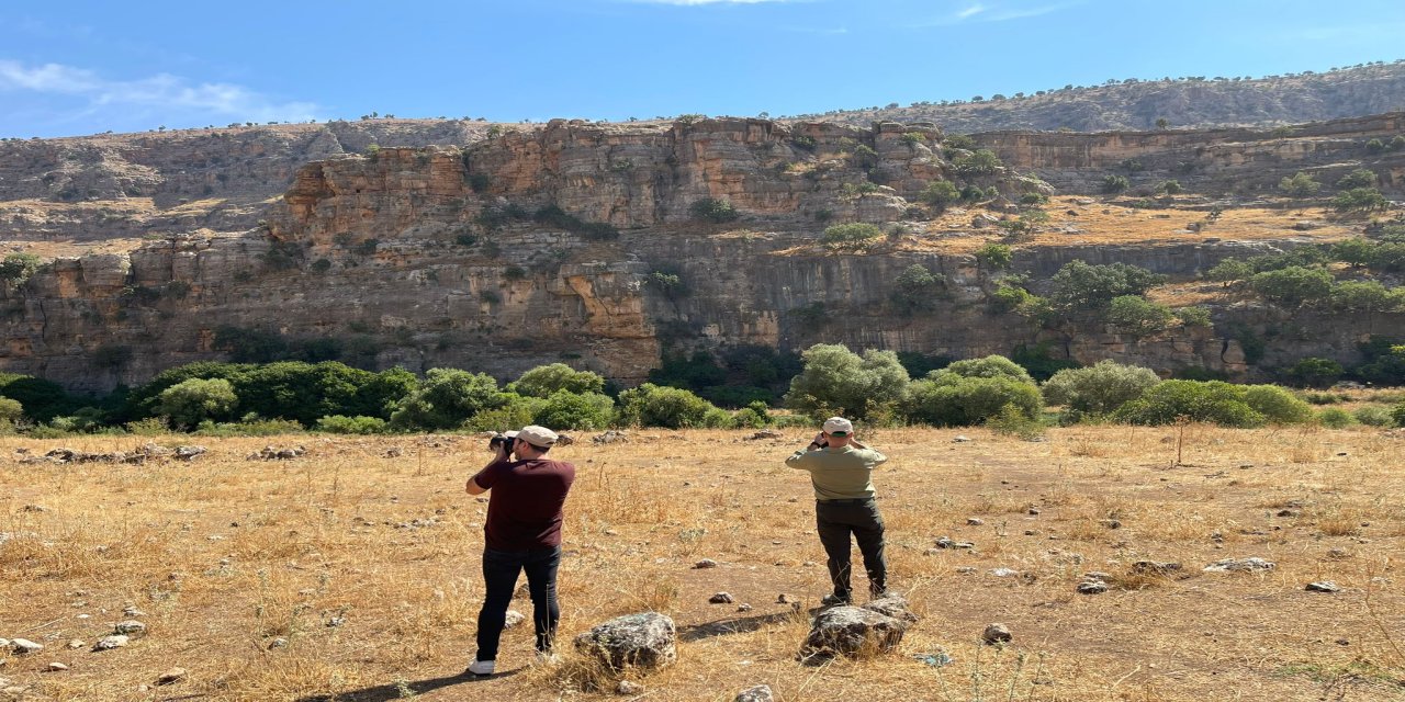 Doğa Koruma Ekipleri Şırnak’ta Avcılara Geçit Vermiyor!