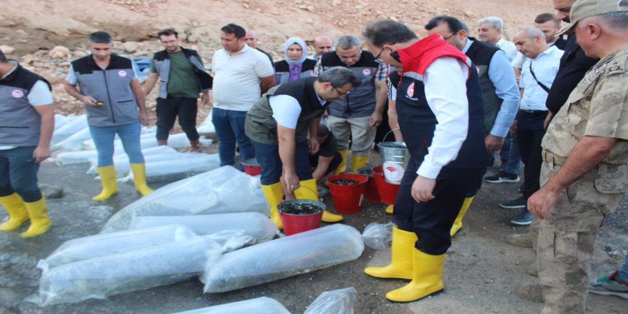 Siirt’te 1 Milyon Yavru Sazan Baraj Gölüne Bırakıldı