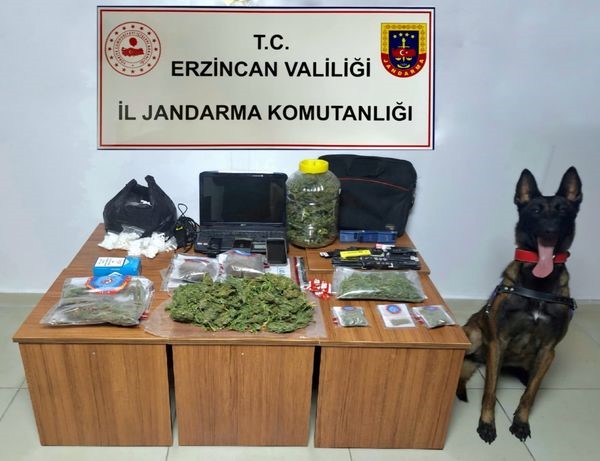 Jandarma ekipleri Erzincan'da uyuşturucuya geçit vermiyor