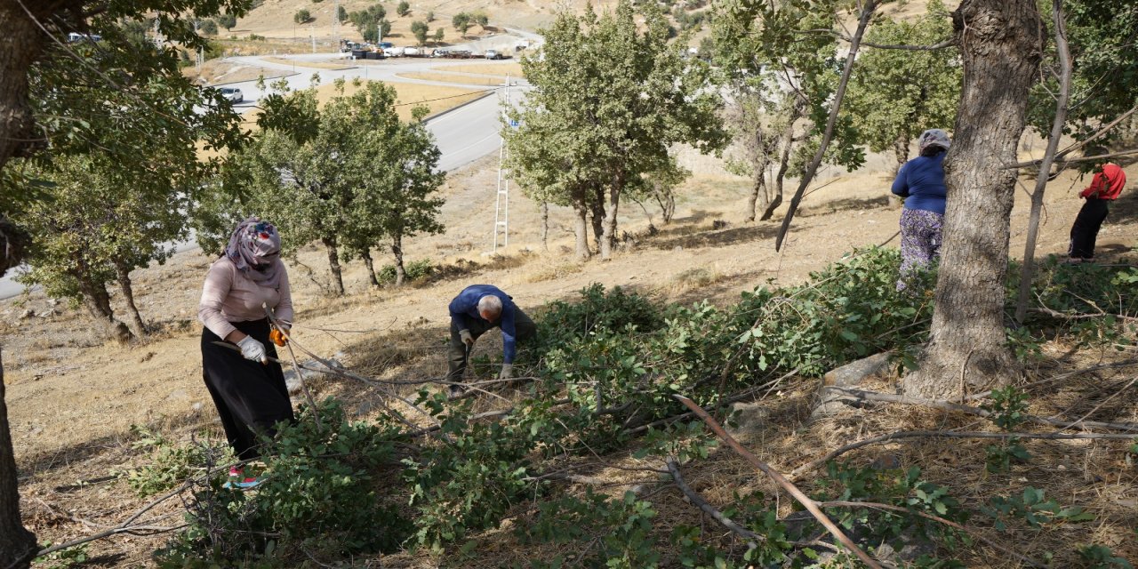 Şırnak'ta Besicilerin Zorlu Mesaisi Başladı