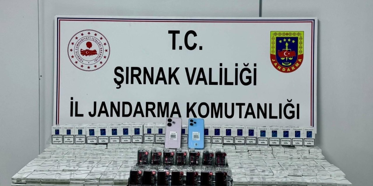 Şırnak'ta jandarma ekiplerinden kaçakçılara operasyon: 17 kişiye işlem yapıldı