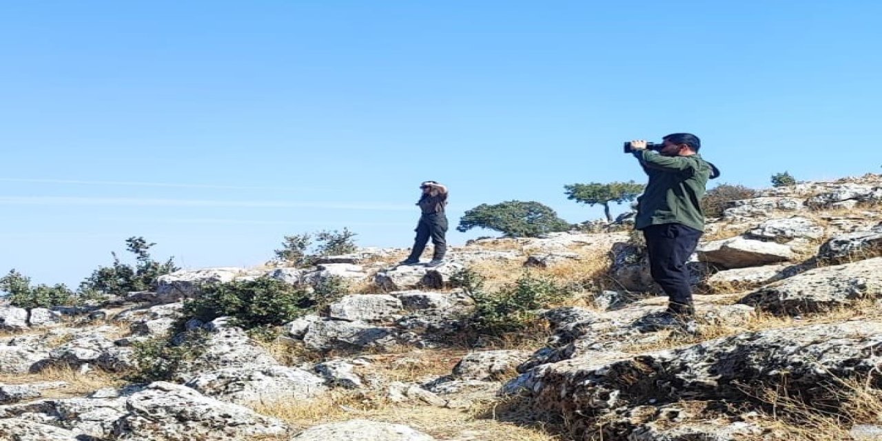 Şırnak’ta Yaban Hayatı Koruma Çalışmaları Hız Kesmeden Devam Ediyor