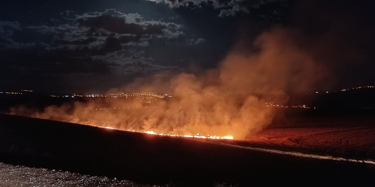 Siirt’te anız yangını