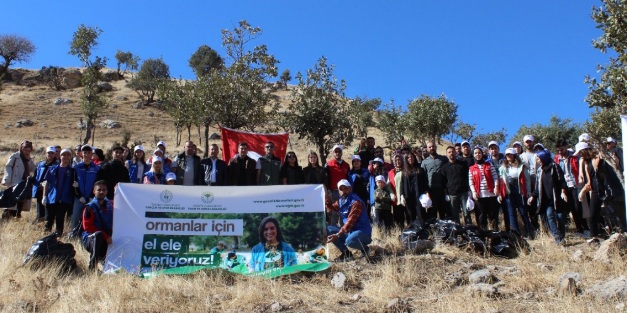 Şırnak'ın ormanlık alanlarında çevre temizliği