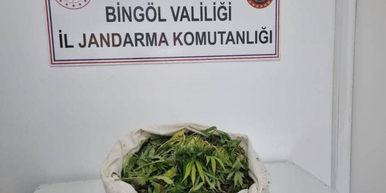 Bingöl’de uyuşturucu operasyonu