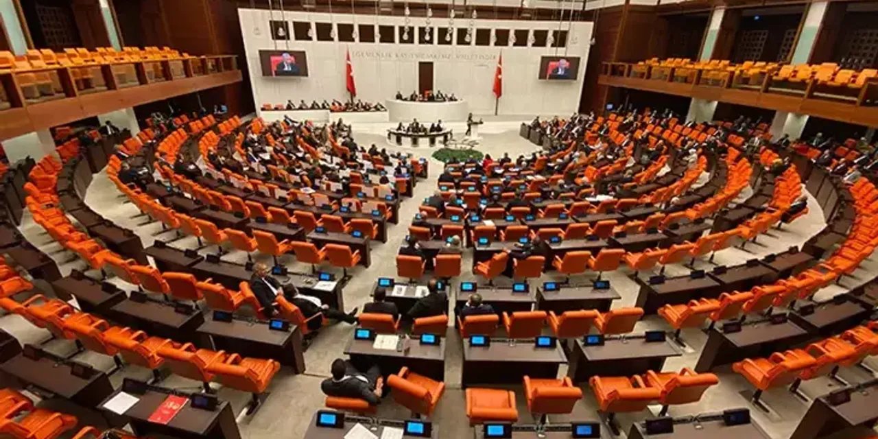 TBMM'de DEM Parti ile Ak Parti arasında "bilinmeyen dil" tartışması