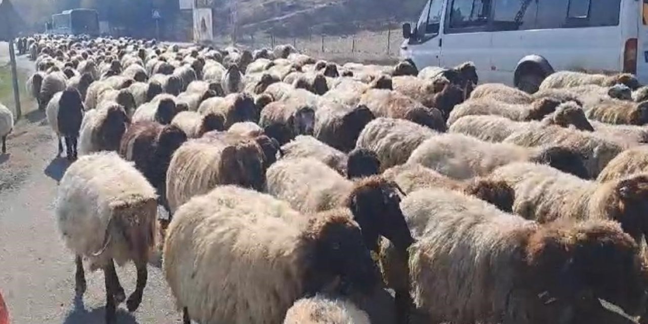 Göçerlerin yaylalardan dönüş yolculuğu başladı