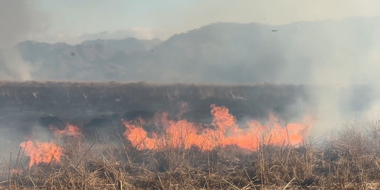 Yüksekova'da onlarca kuş türünün yaşadığı Nehil Sazlığı alev alev  yanıyor