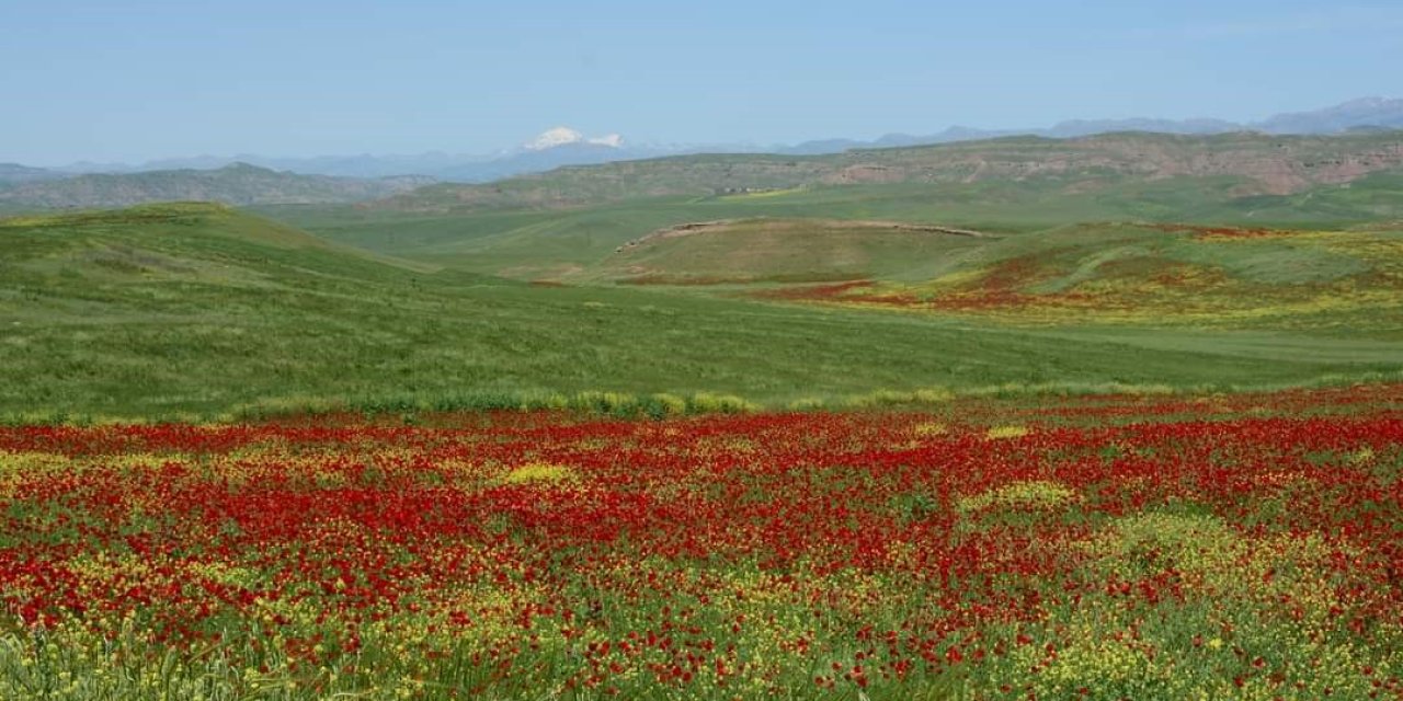 Siirt'te Garzan Ovası büyük ova ilan edildi