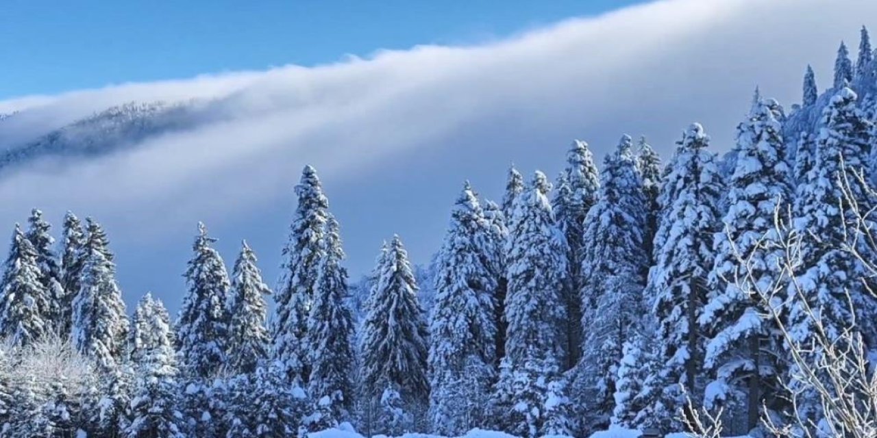 Artvin'de sis bulutları görsel şölen sundu